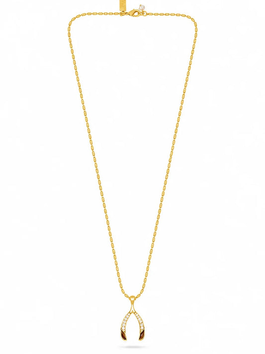 Talis Chains Wishbone Pendant Necklace-Tigers Eye
