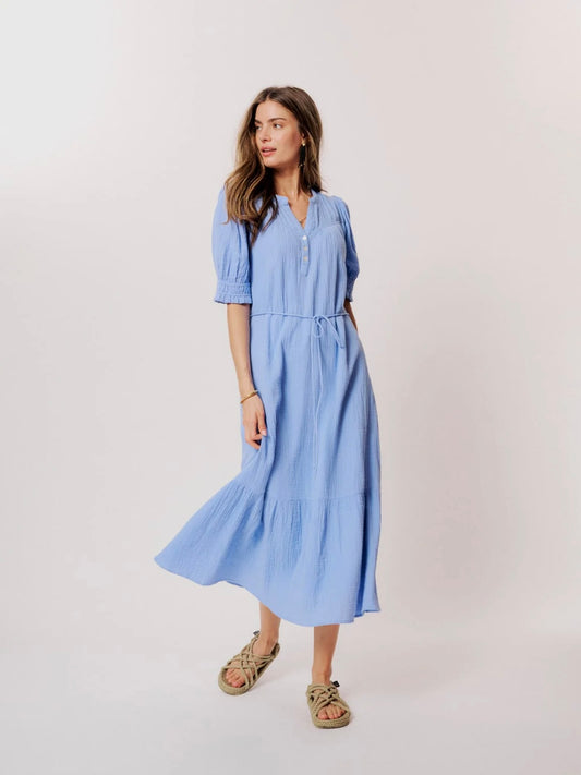 Moliin Alex Dress- Hydrangea