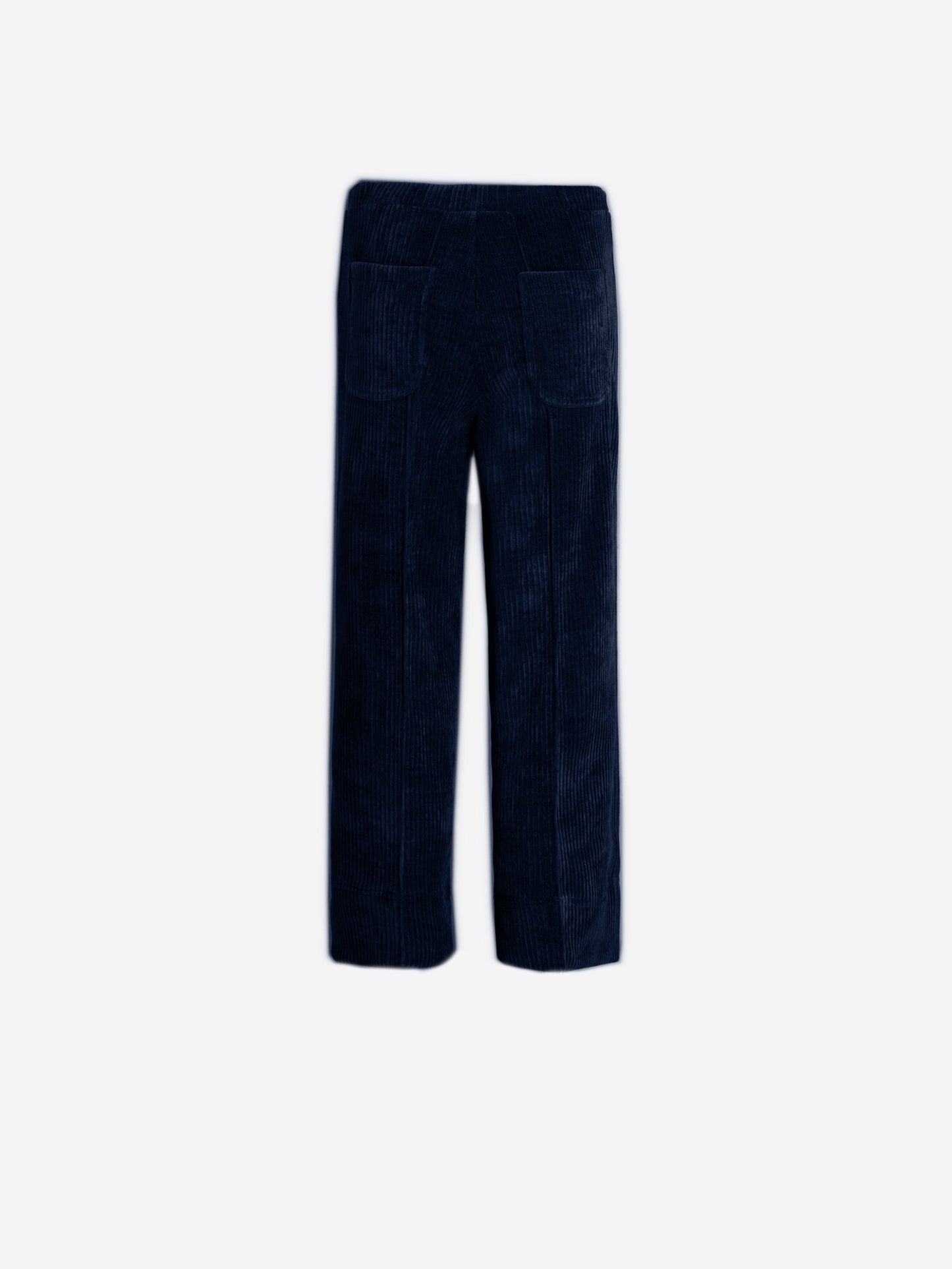 Vilagallo Navy Bettina Corduroy trousers
